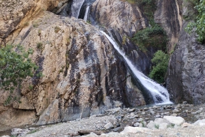 Dagsutflykt till Atlasbergen och Ourikadalen från Marrakech