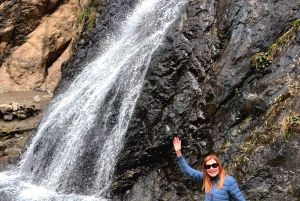 Dagsutflykt till Atlasbergen och Ourikadalen från Marrakech