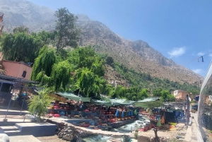 Marrakesz: wycieczka 1-dniowa do doliny Ourika, lunch + spacer z przewodnikiem