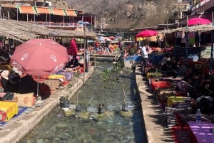 Monti dell'Atlante, Valle dell'Ourika e cascate: gita di 1 giorno