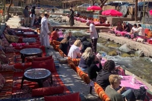 Monti dell'Atlante, Valle dell'Ourika e cascate: gita di 1 giorno