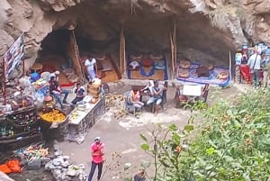 Monti dell'Atlante, Valle dell'Ourika e cascate: gita di 1 giorno