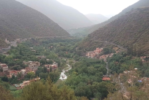 Monti dell'Atlante, Valle dell'Ourika e cascate: gita di 1 giorno