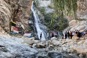 Monti dell'Atlante, Valle dell'Ourika e cascate: gita di 1 giorno