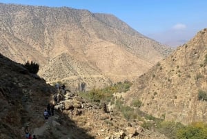 Monti dell'Atlante, Valle dell'Ourika e cascate: gita di 1 giorno