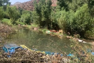 Monti dell'Atlante, Valle dell'Ourika e cascate: gita di 1 giorno