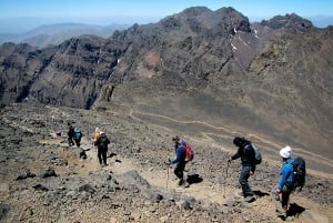 Atlas Mountains: Tedli Summit Day Hike from Marrakech