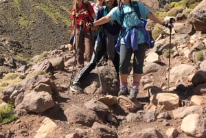 Atlas Mountains: Tedli Summit Day Hike from Marrakech