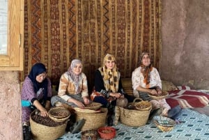 Marrakech: Valle dell'Ourika, Montagne dell'Atlante, Cascate e guida