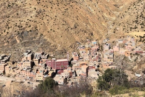 Marrakech: Valle dell'Ourika, Montagne dell'Atlante, Cascate e guida