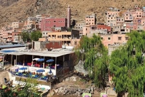 Marrakech: Valle dell'Ourika, Montagne dell'Atlante, Cascate e guida