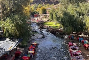 Marrakech: Valle dell'Ourika, Montagne dell'Atlante, Cascate e guida