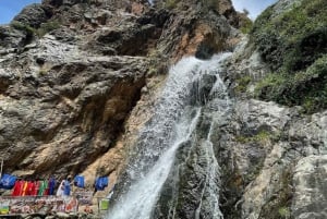 Marrakech: Valle dell'Ourika, Montagne dell'Atlante, Cascate e guida