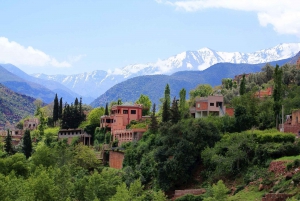 Marrakech : Ourika Valley Waterfalls