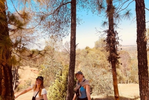 Tilbring en naturlig dag uden for Den Røde By: keramik, gåtur, pool