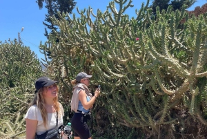 Tilbring en naturlig dag uden for Den Røde By: keramik, gåtur, pool