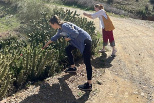 Tilbring en naturlig dag uden for Den Røde By: keramik, gåtur, pool