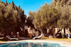 Tilbring en naturlig dag uden for Den Røde By: keramik, gåtur, pool