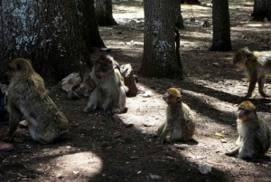 A partir de Fez: viagem de 2 dias com ida e volta pelo deserto de Merzouga e passeio de camelo
