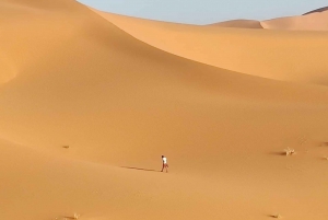 A partir de Fez: viagem de 2 dias com ida e volta pelo deserto de Merzouga e passeio de camelo