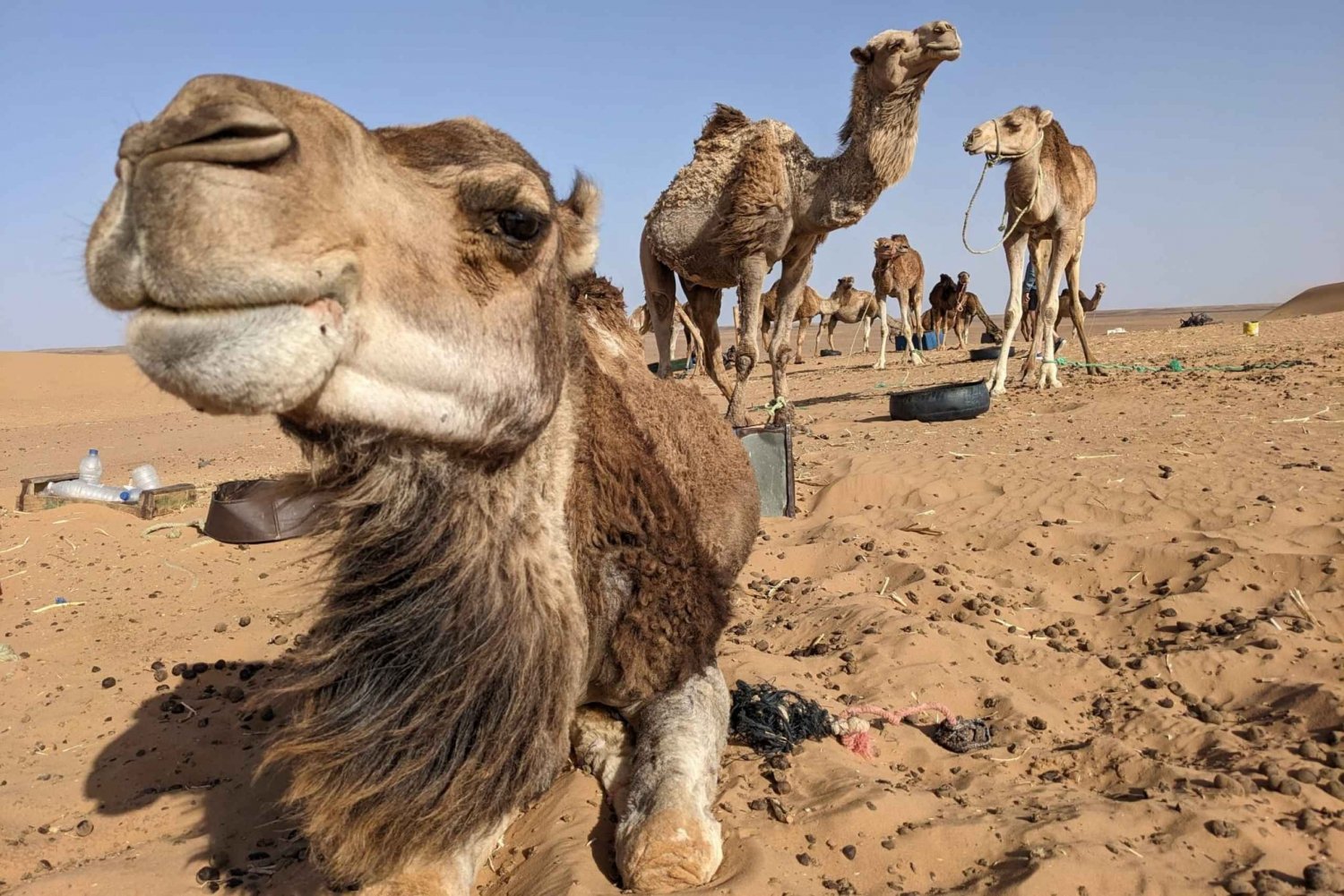 Meilleure excursion de 3 jours de Fès à Marrakech via le désert de Merzouga
