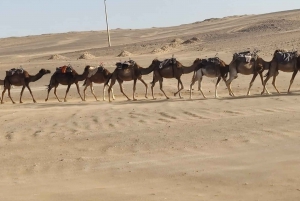 Paras 3 päivän matka Fezistä Marrakechiin Merzougan aavikon kautta Merzougan aavikolle.
