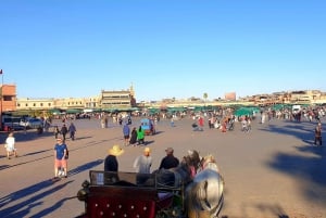 Il meglio di Marrakech: Tour guidato di storia e cultura della Medina Vecchia
