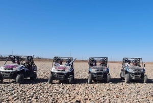 Buggyfahrt im Palm Grove und Desert mit Schwimmbad