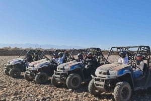 Buggyfahrt im Palm Grove und Desert mit Schwimmbad