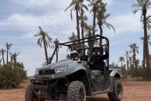 Buggyfahrt im Palm Grove und Desert mit Schwimmbad