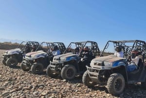 Buggyfahrt im Palm Grove und Desert mit Schwimmbad