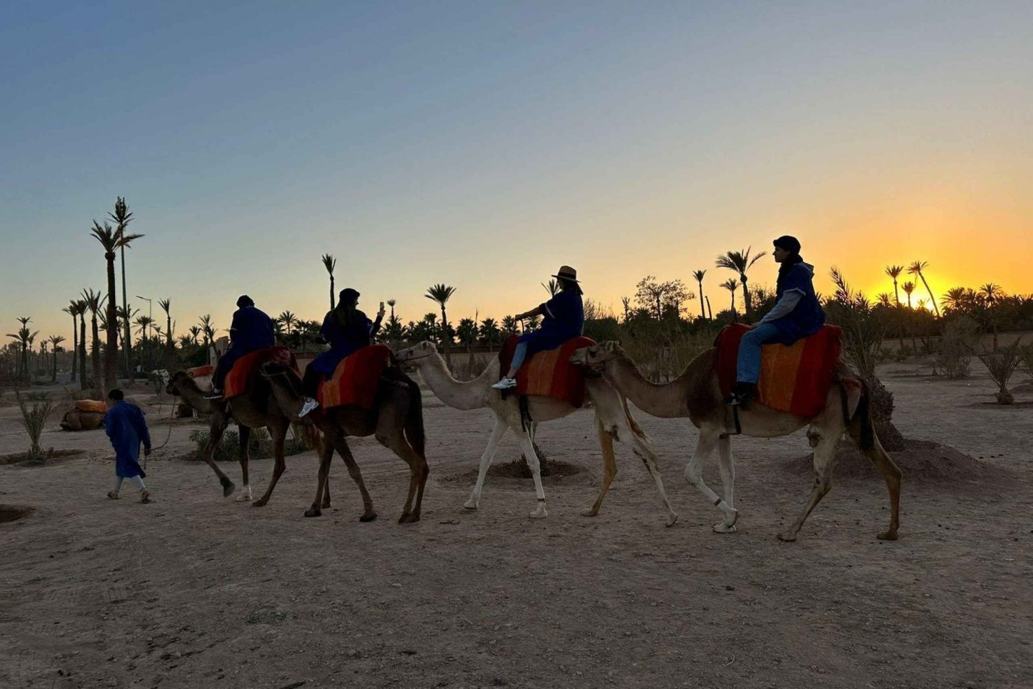 Balade à dos de chameau dans la Palmeraie de Marrakech
