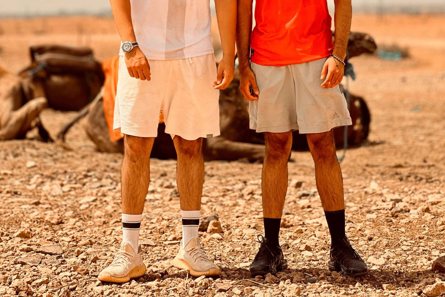 Kamelridningseventyr gjennom Marrakeshs ørkenlandsbyer