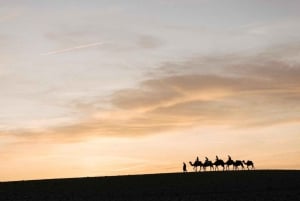 camel ride and dinner in agafay desert with sunset