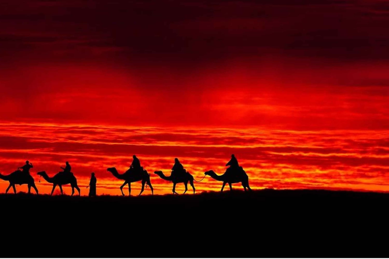 Camel Ride au Désert d’Agafay + Dîner Show Transfert Inclus