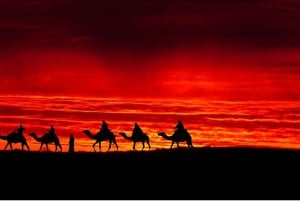 Camel Ride au Désert d’Agafay + Dîner Show Transfert Inclus