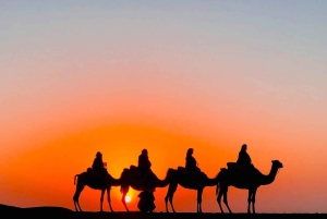 Camel Ride au Désert d’Agafay + Dîner Show Transfert Inclus