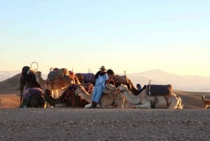 Camel Ride in Agafay Desert at sunset