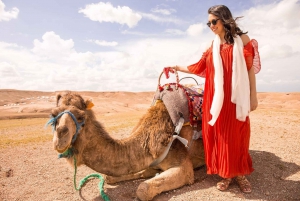 Camel Ride in Agafay Desert at sunset