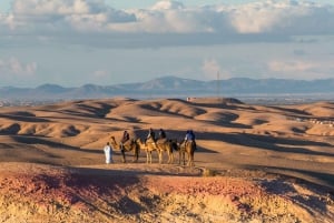 Camel Ride in Agafay Desert at sunset