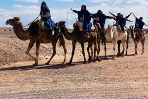 Kameltur i ørkenen Palmeraie Marrakech