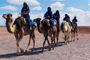 Kameltur i ørkenen Palmeraie Marrakech