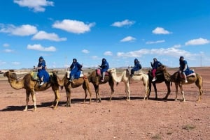 Kameltur i ørkenen Palmeraie Marrakech