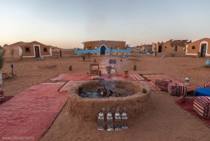 Paseo en camello por el palmeral de Marrakech