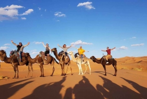 Passeio de camelo no palmeiral de Marrakech