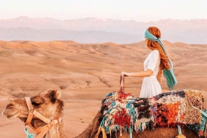 Przejażdżka na wielbłądzie w gaju palmowym w Marrakeszu