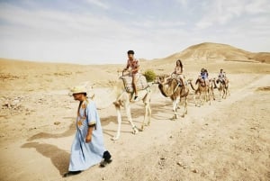 Paseo en camello por el palmeral de Marrakech