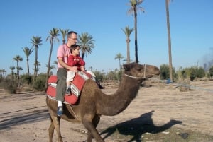 Camel Ride Marrakech Palmeraie