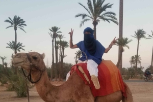 Balade à dos de chameau dans la Palmerie de Marrakech