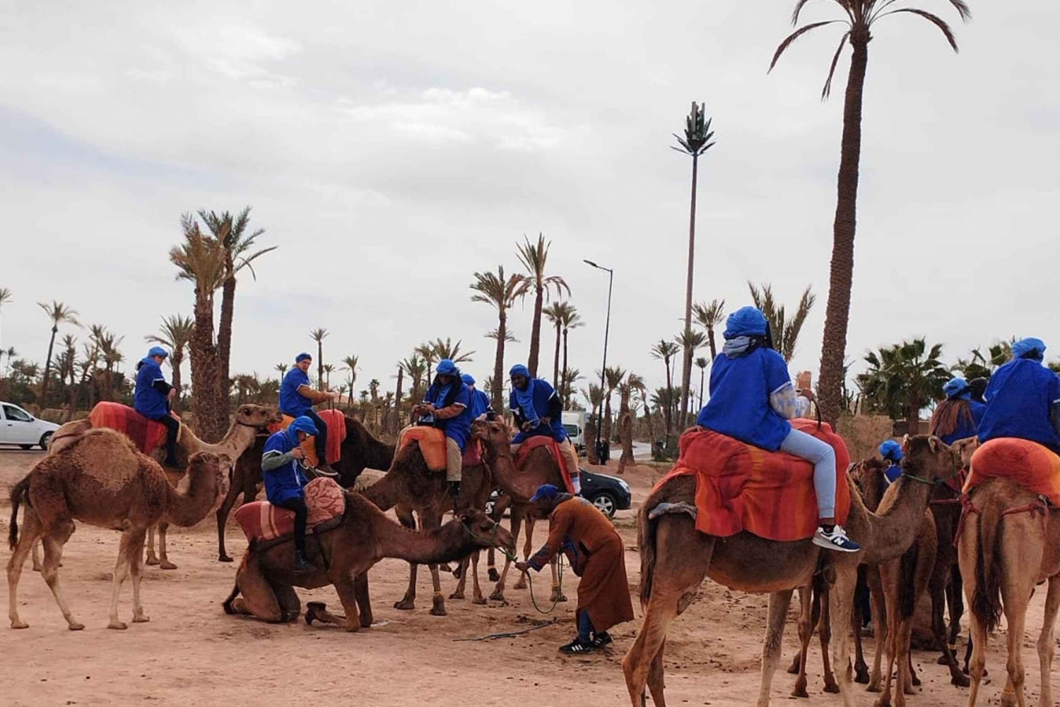 Camel ride & visit Marrakesh Jewish quarter (Berber Market)